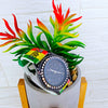 Black Queen Watch