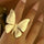 Be Free Butterfly Statement Ring