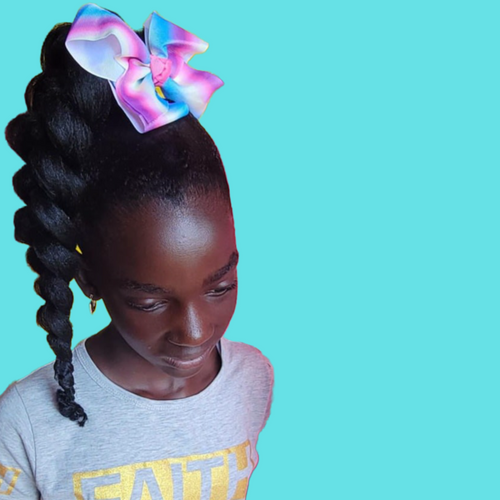 Chi Butterfly Braided Ponytail