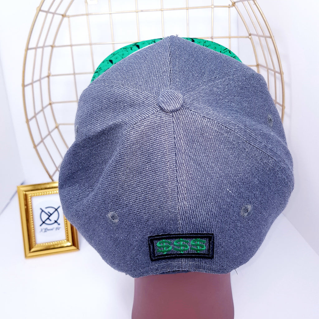 All Bands Snapback Hat