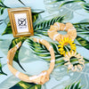 Scholar Headband Set