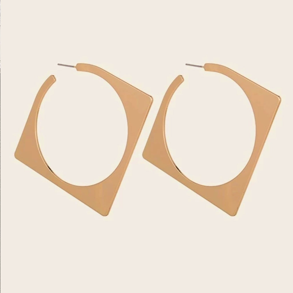 Mathematical Error Earring