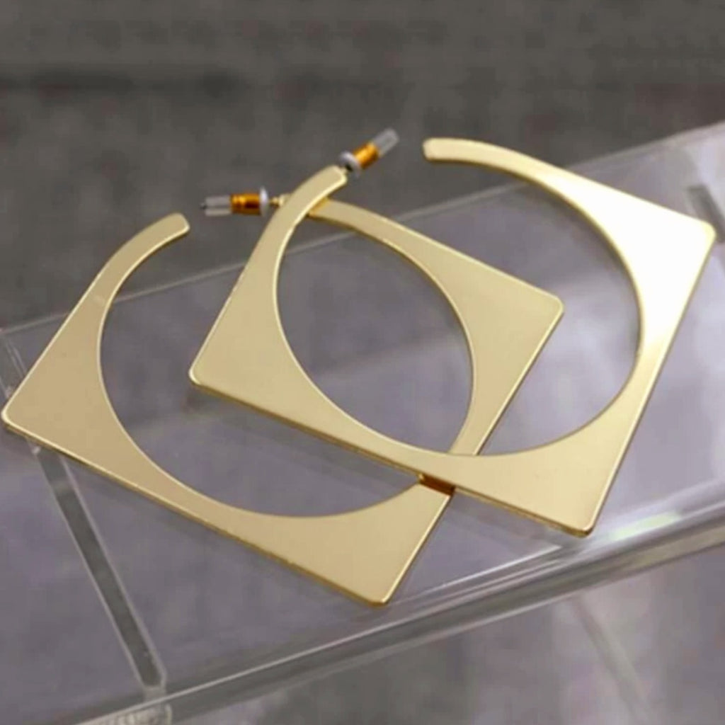Mathematical Error Earring